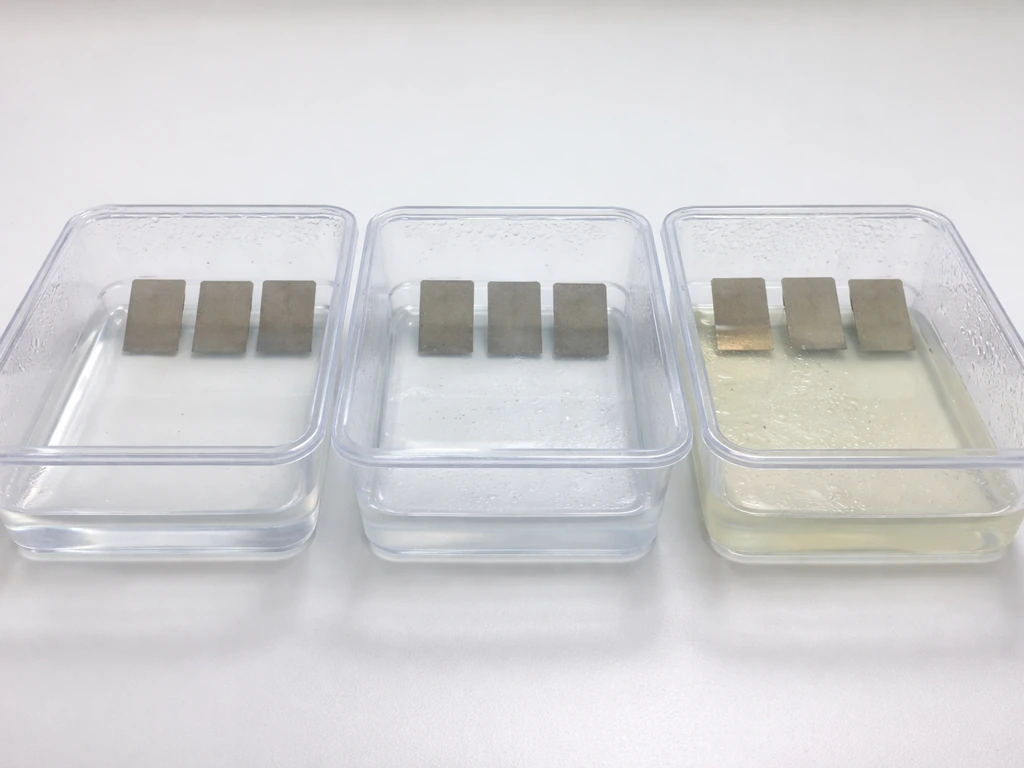 Close-up of small trays with condensation showing moisture and nutrient conditions that support biofilm growth.